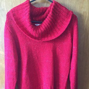 Sparkly red sweater